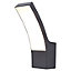 Blooma Gambell Matt Charcoal grey Mains-powered LED Outdoor Wall light 800lm