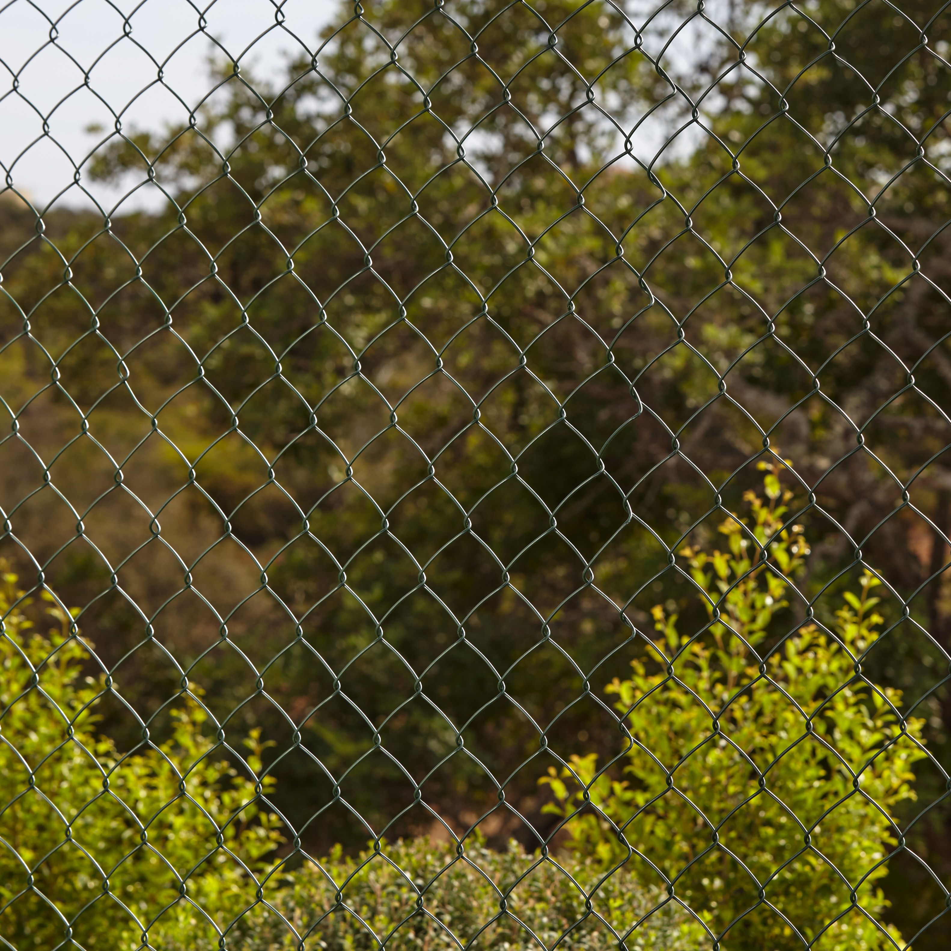 Blooma Green PVC-coated Steel Wire mesh panel, (L)20m (H)1m (W)1m