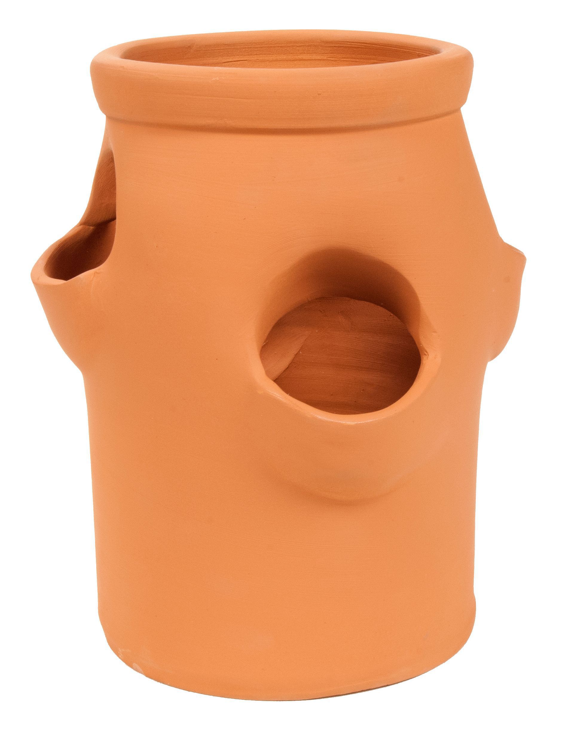 Round deals terracotta pots