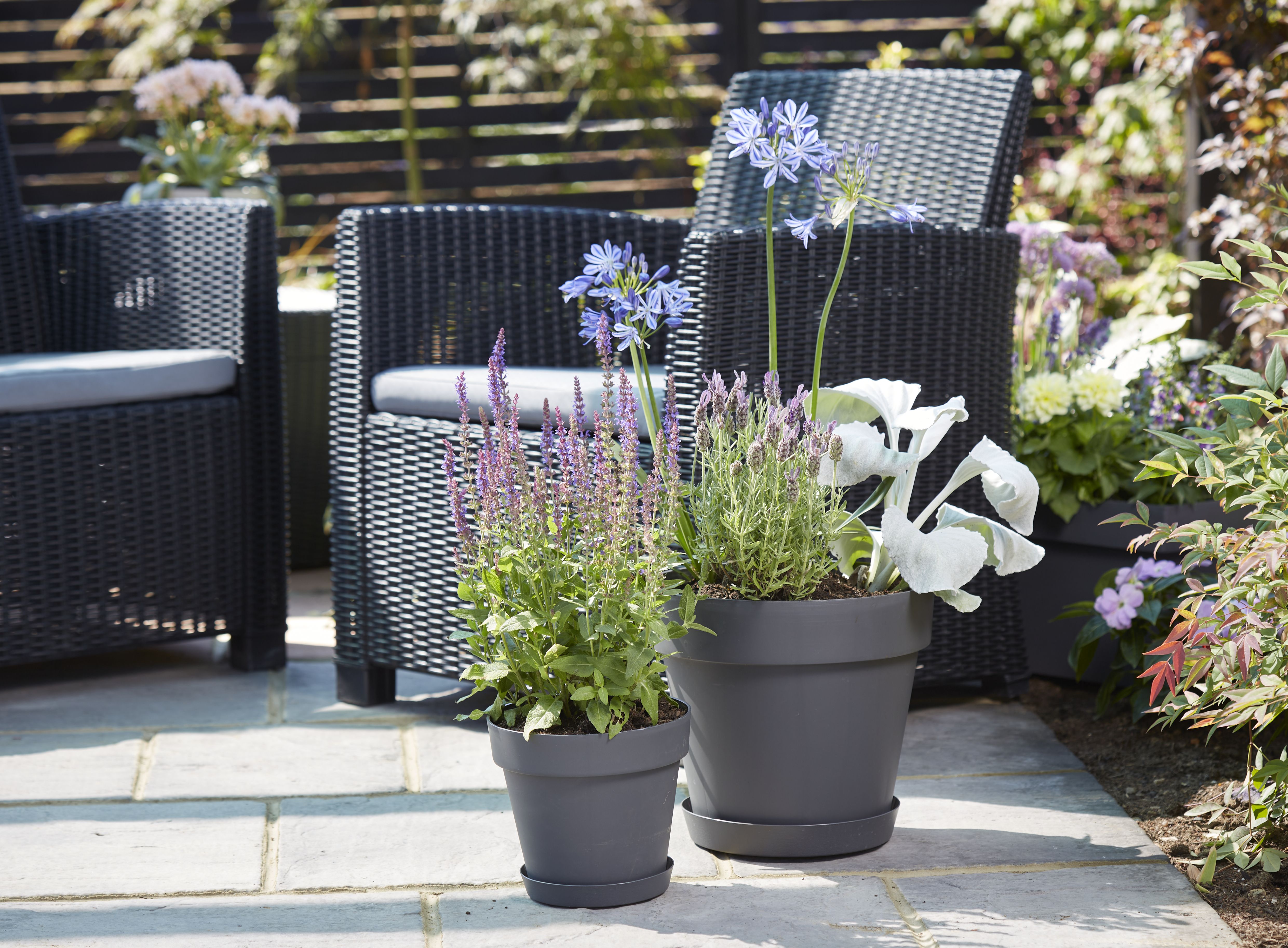 Blooma Nurgul Dark grey Plastic Circular Plant pot (Dia)20cm