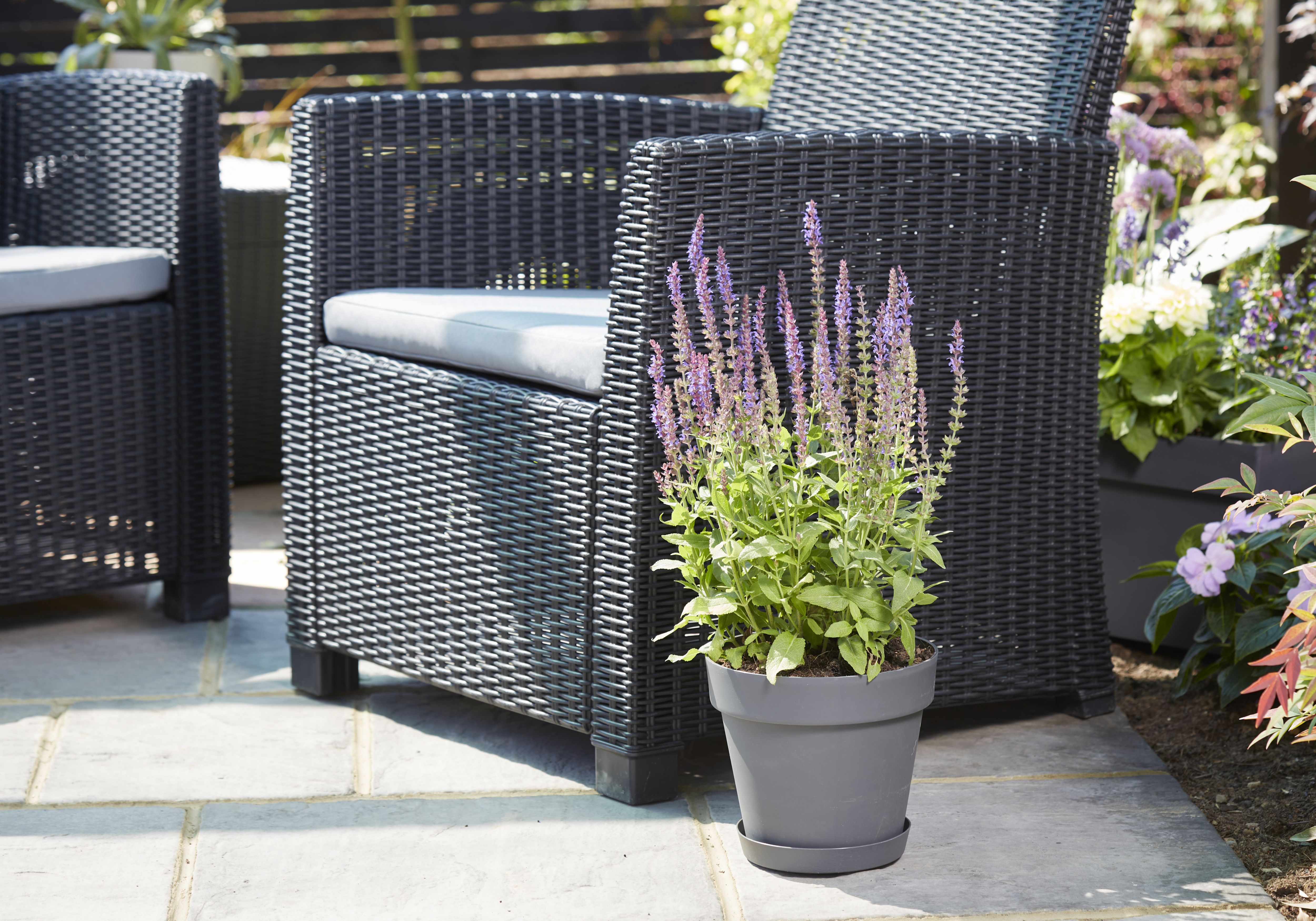 Blooma Nurgul Dark grey Plastic Circular Plant pot (Dia)20cm