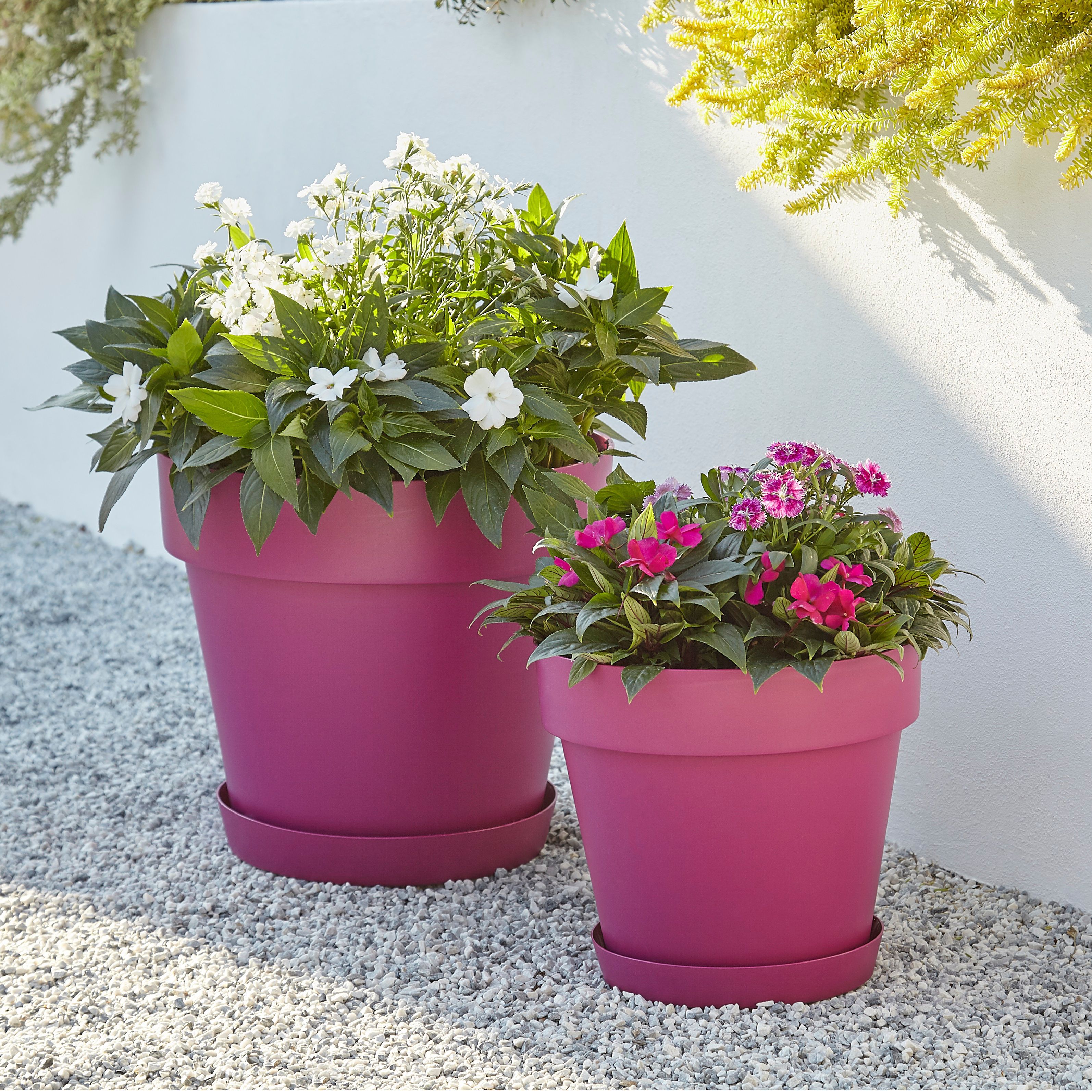 Blooma Nurgul Pink Plastic Round Plant pot (Dia)30cm