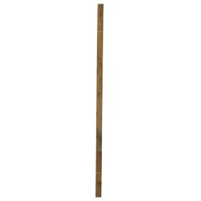 Blooma Pine Green Square Fence post (H)2.4m (W)75mm