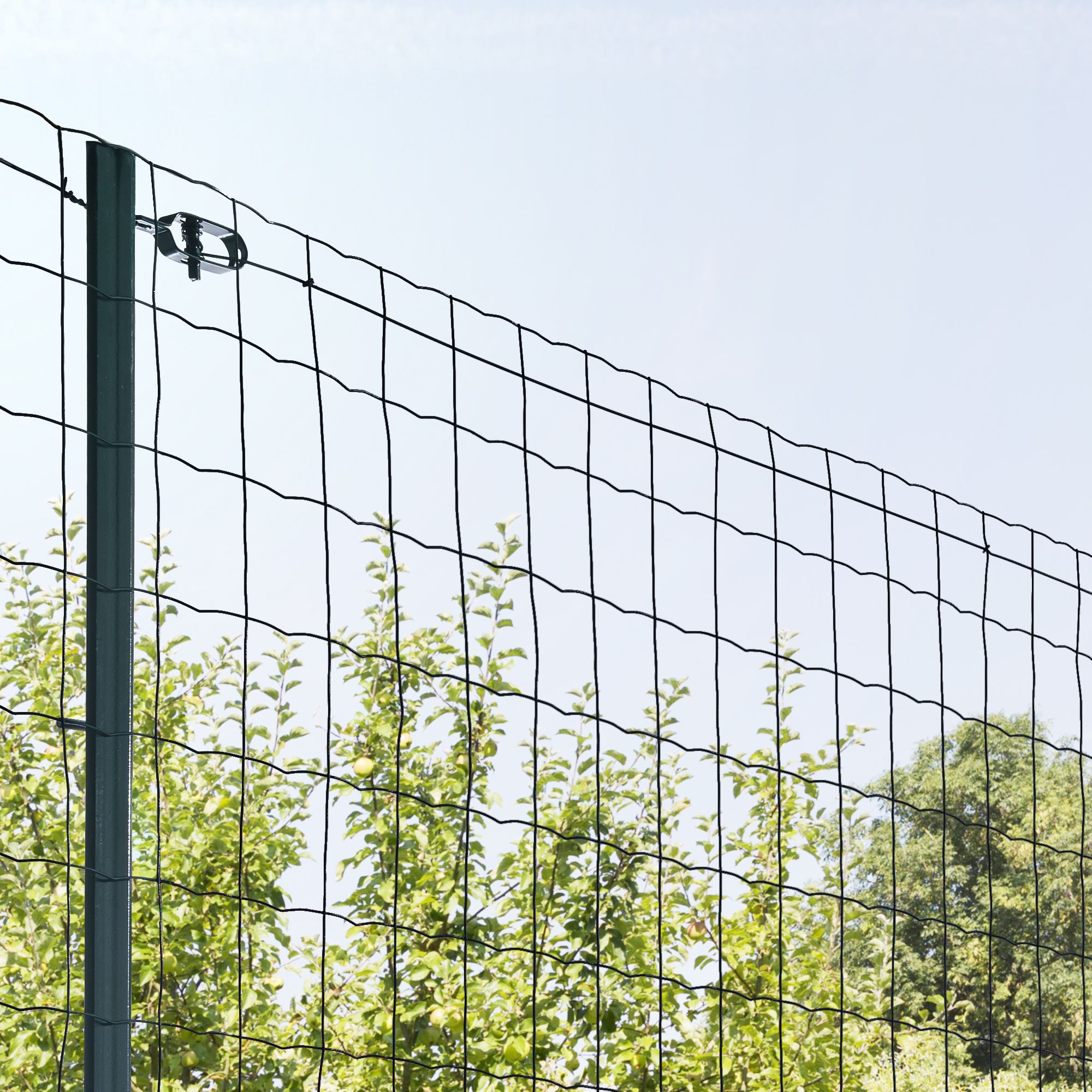 Blooma Powder-coated Steel Wire strainer