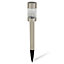 Blooma Silver effect Solar-powered LED Spike light