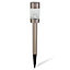 Blooma Solar Silver effect Solar-powered LED Outdoor Spike light