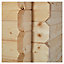 Blooma Taman 10x12 ft Apex Naturel Wooden 2 door Shed & 1 window