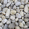 Blooma White Chinese White Pebbles
