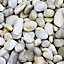 Blooma White Chinese White Pebbles