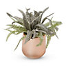 Bohemian Pot with artificial fern in