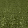 Boronia Artificial grass (L)4m (W)2m (T)8mm