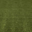 Boronia Artificial grass (L)4m (W)2m (T)8mm