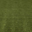 Boronia Artificial grass Sample (L)0.24m (W)0.17m (T)7mm