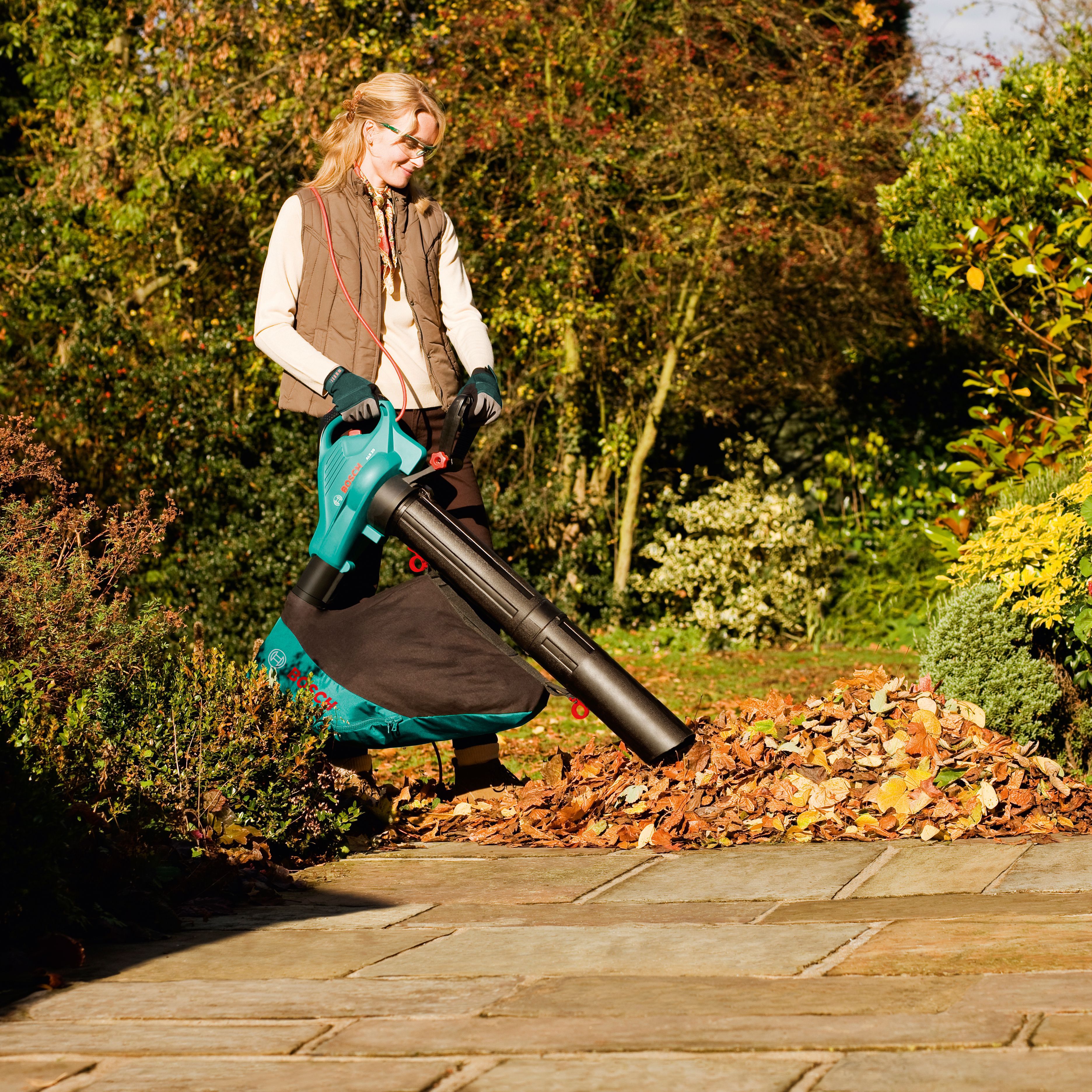 Bq deals leaf blower