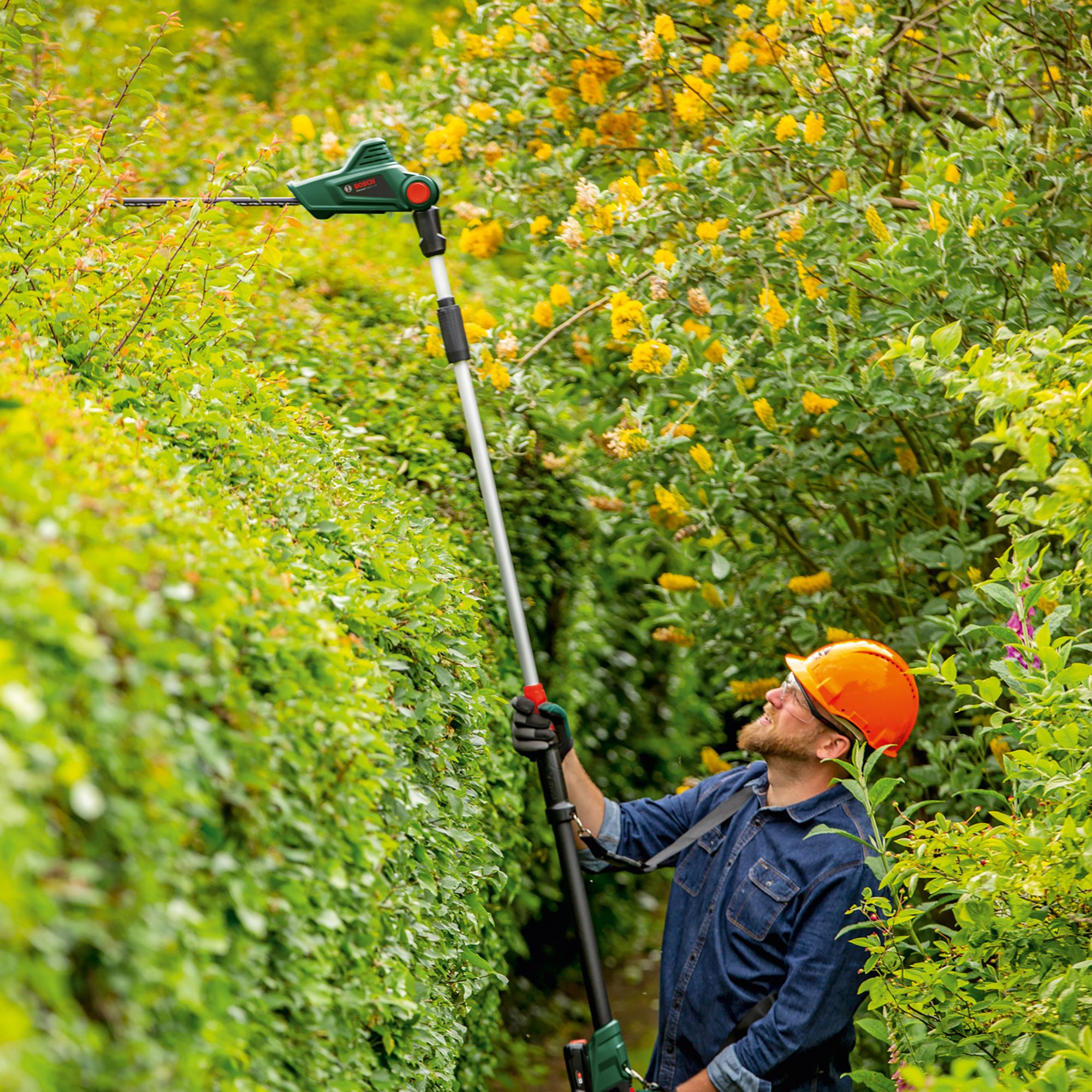 Bosch Power for all 18V 450mm UniversalHedgePole 18 Cordless Hedge trimmer