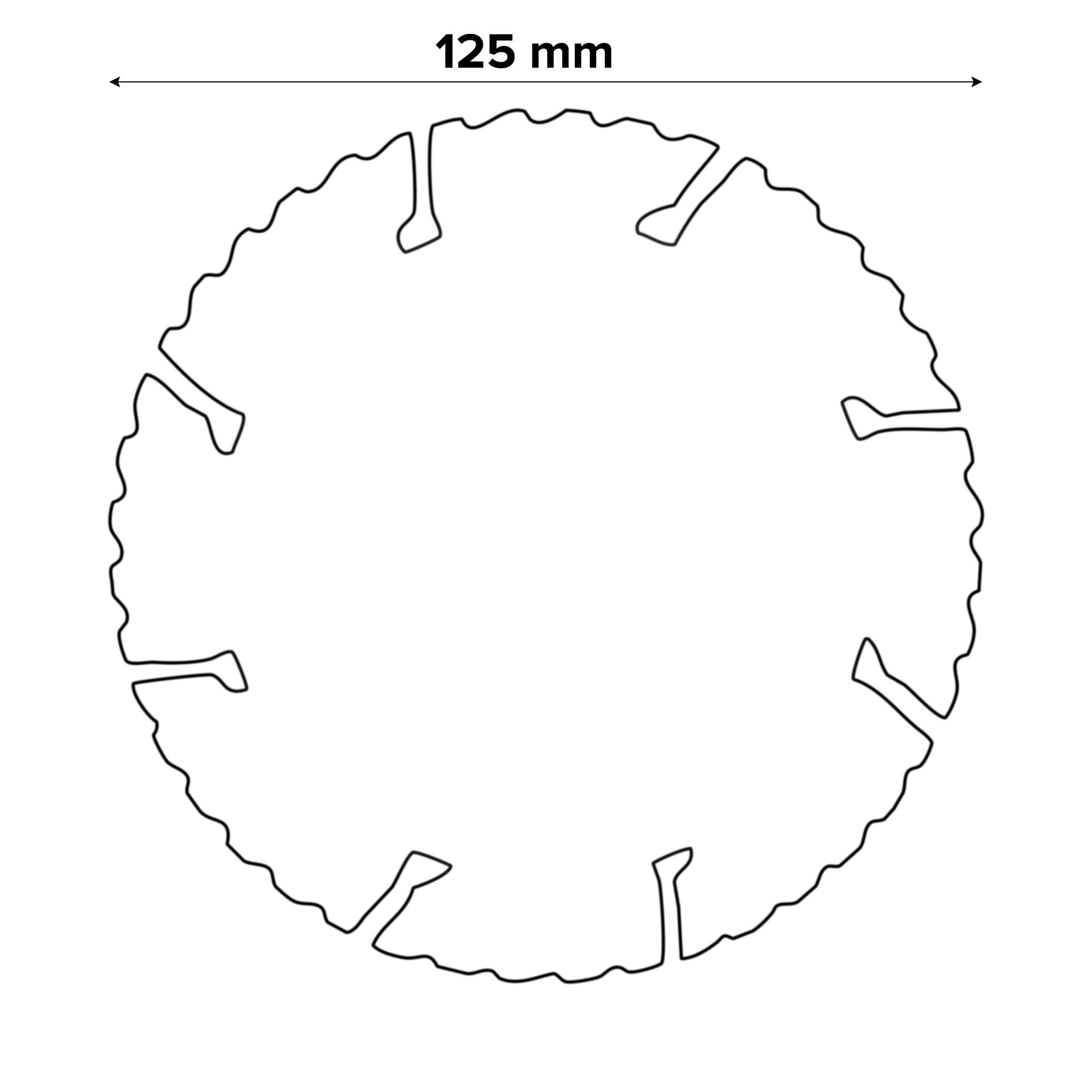 Bosch Professional 125mm x 22mm Diamond blade