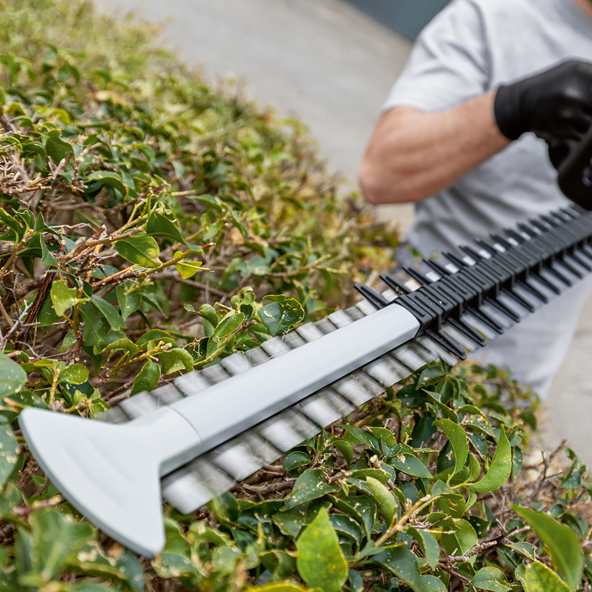 Bosch Professional 18V GHE 18V-60 Cordless 600mm Hedge trimmer - BARE