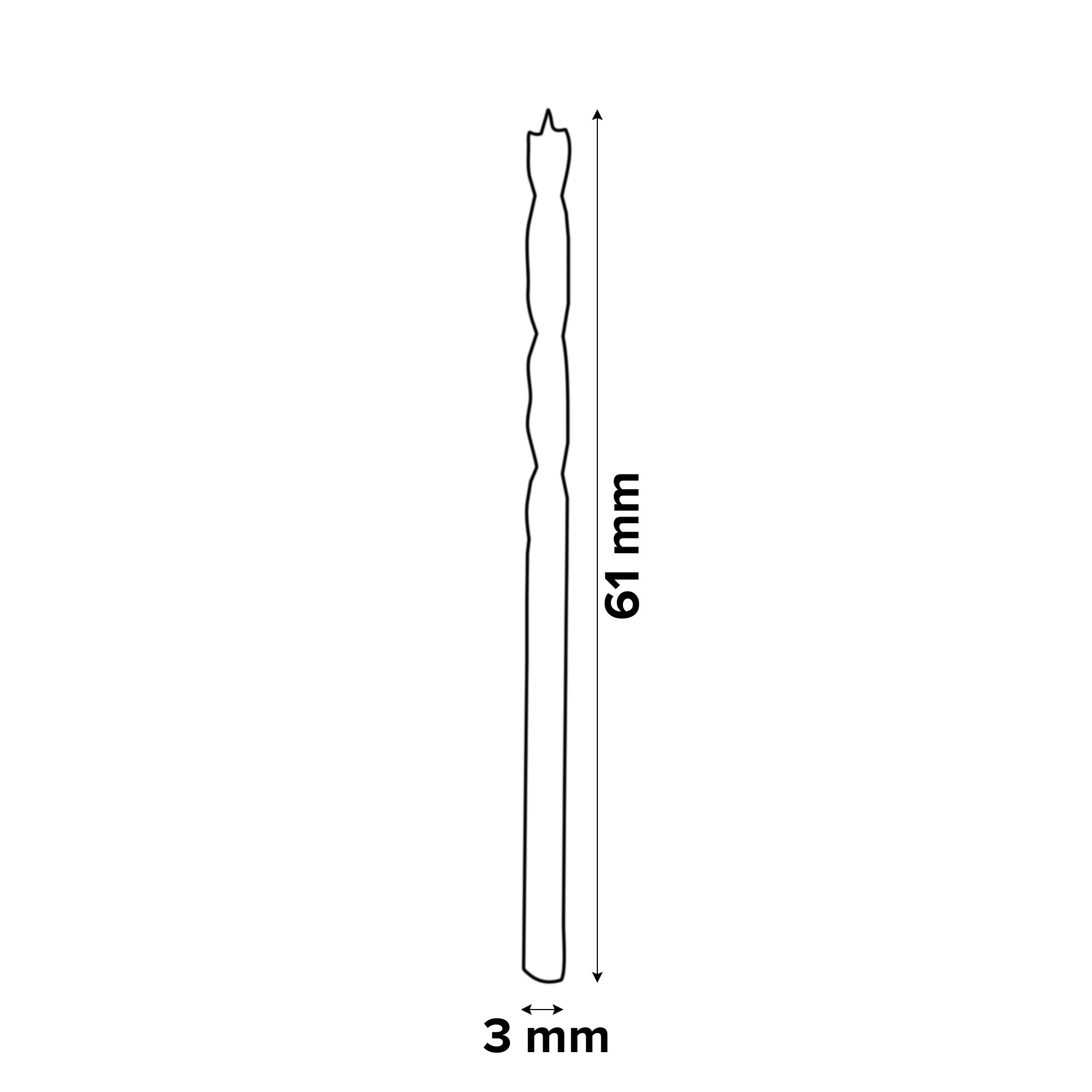 Bosch Professional Brad point (Dia)3mm (L)61mm