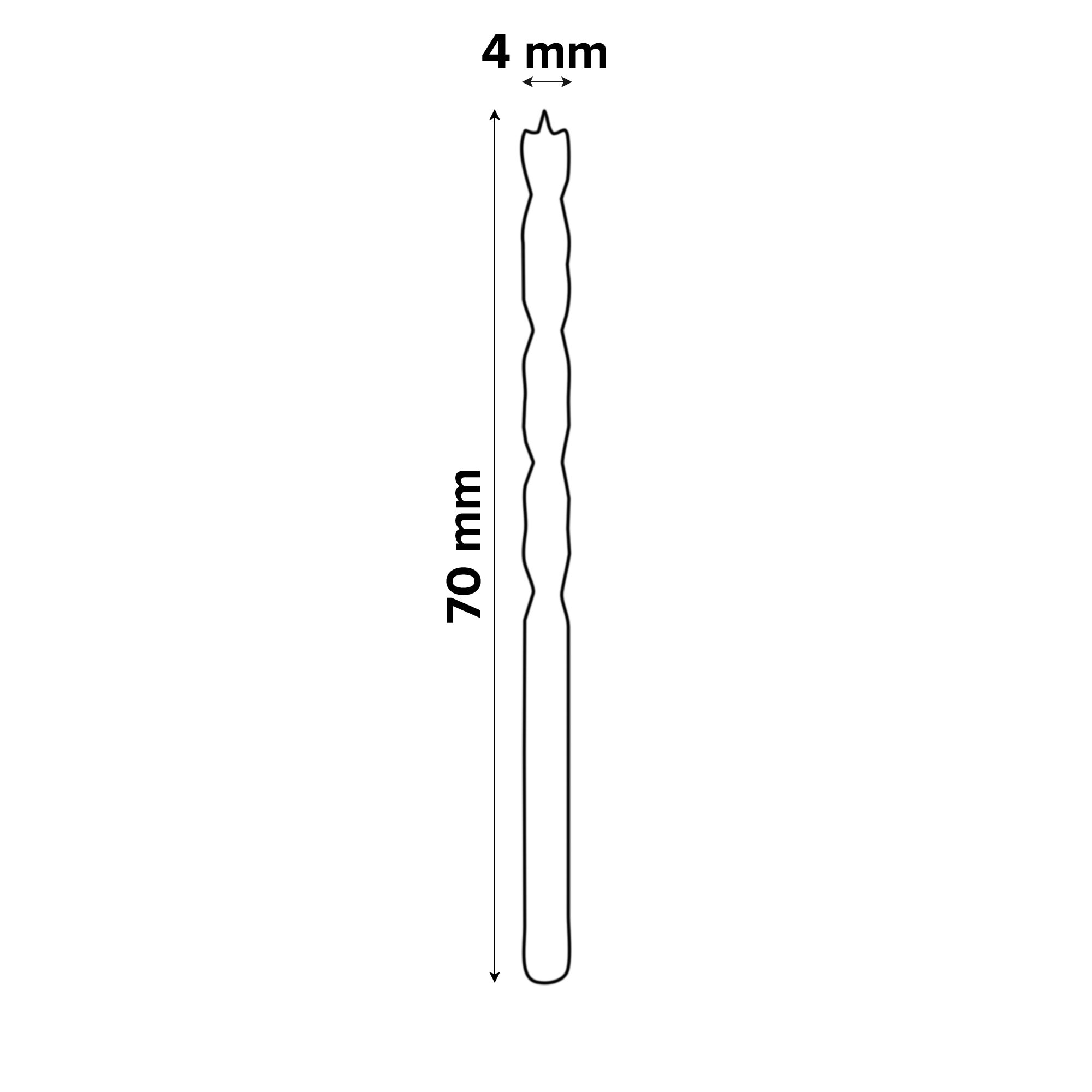 Bosch Professional Brad point drill bit (Dia)4mm (L)70mm