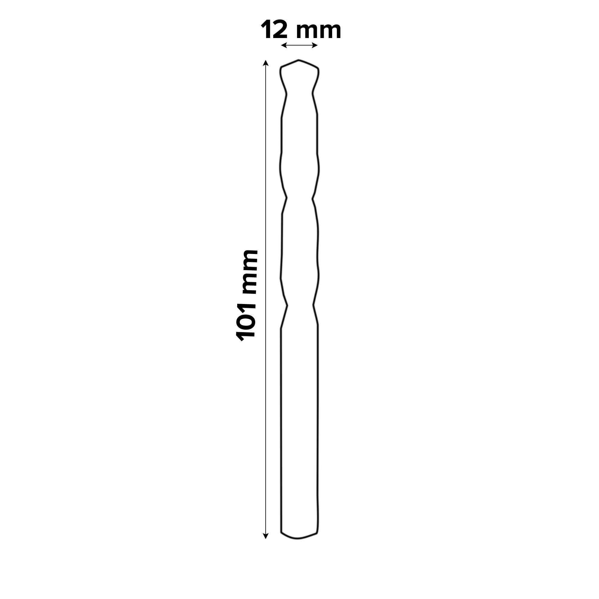 Bosch Professional Round Metal Drill bit (Dia)12mm (L)101mm