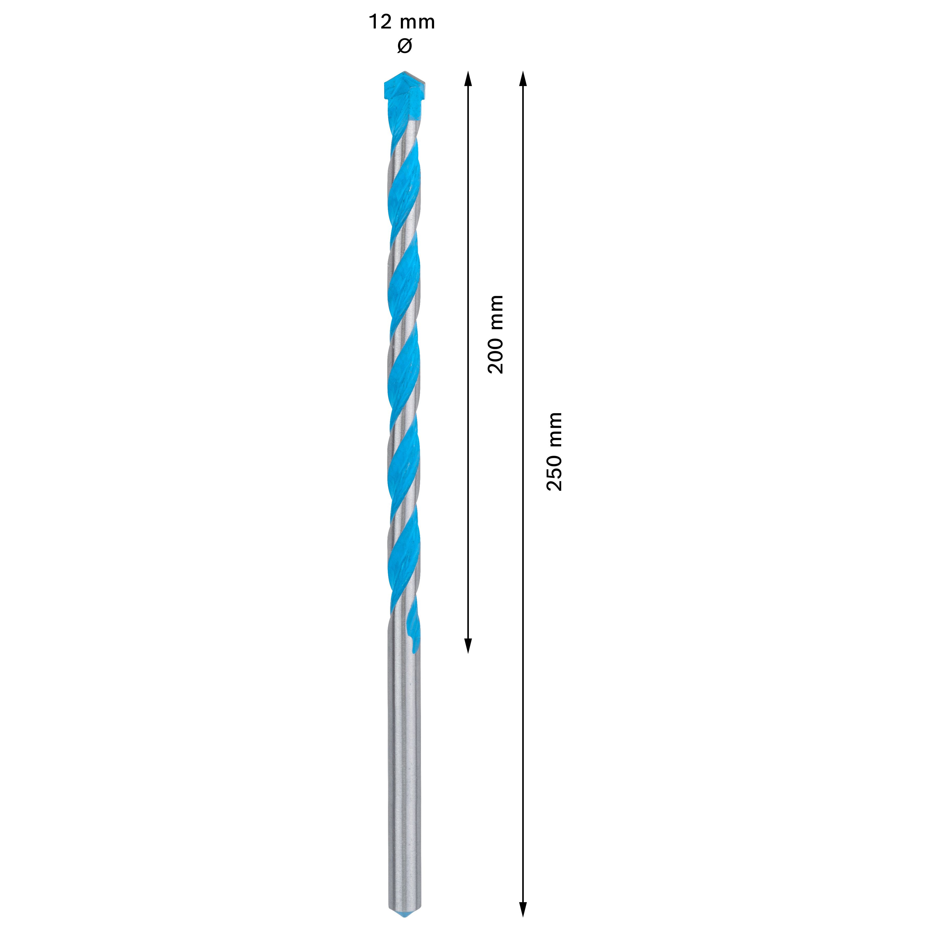 Bosch Straight Multi-purpose Drill bit (Dia)12mm