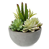 Botanist Grey Broom & accessory holder in Faux succulent