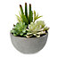 Botanist Grey Broom & accessory holder in Faux succulent