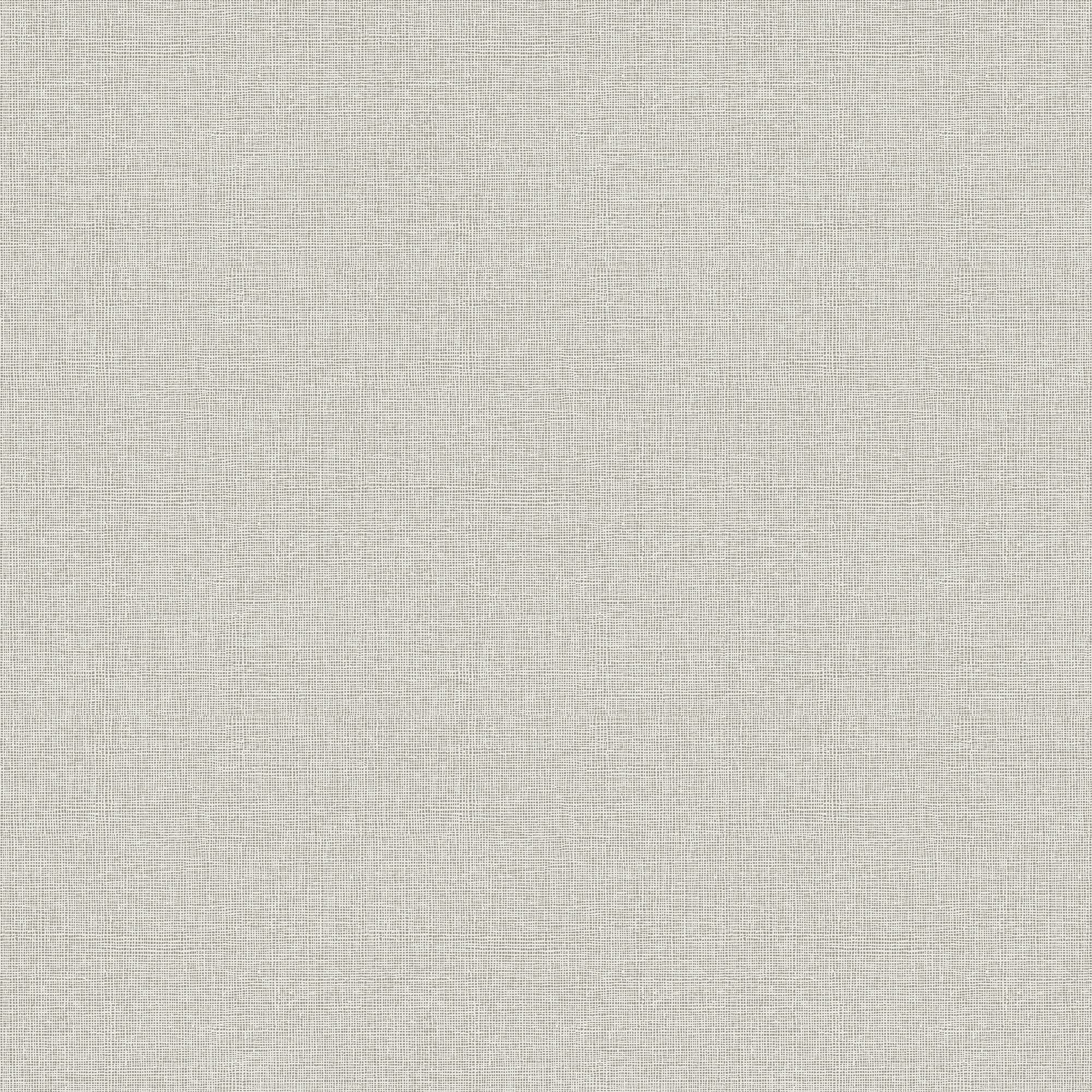Boutique Sieta Metallic effect Textured Wallpaper Sample