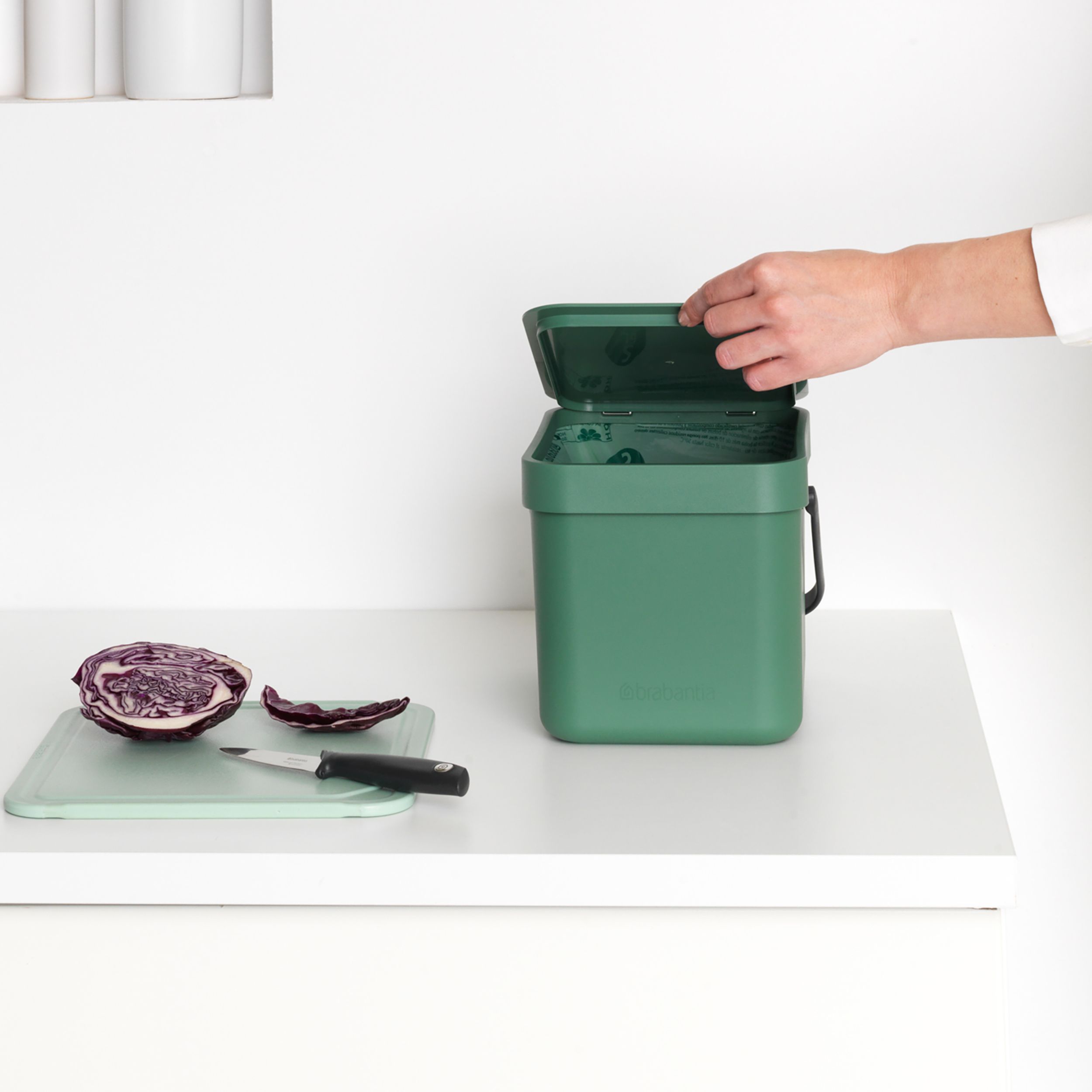 Brabantia Sort & Go Hinged Standard Fir green Plastic Bin - 6L Freestanding