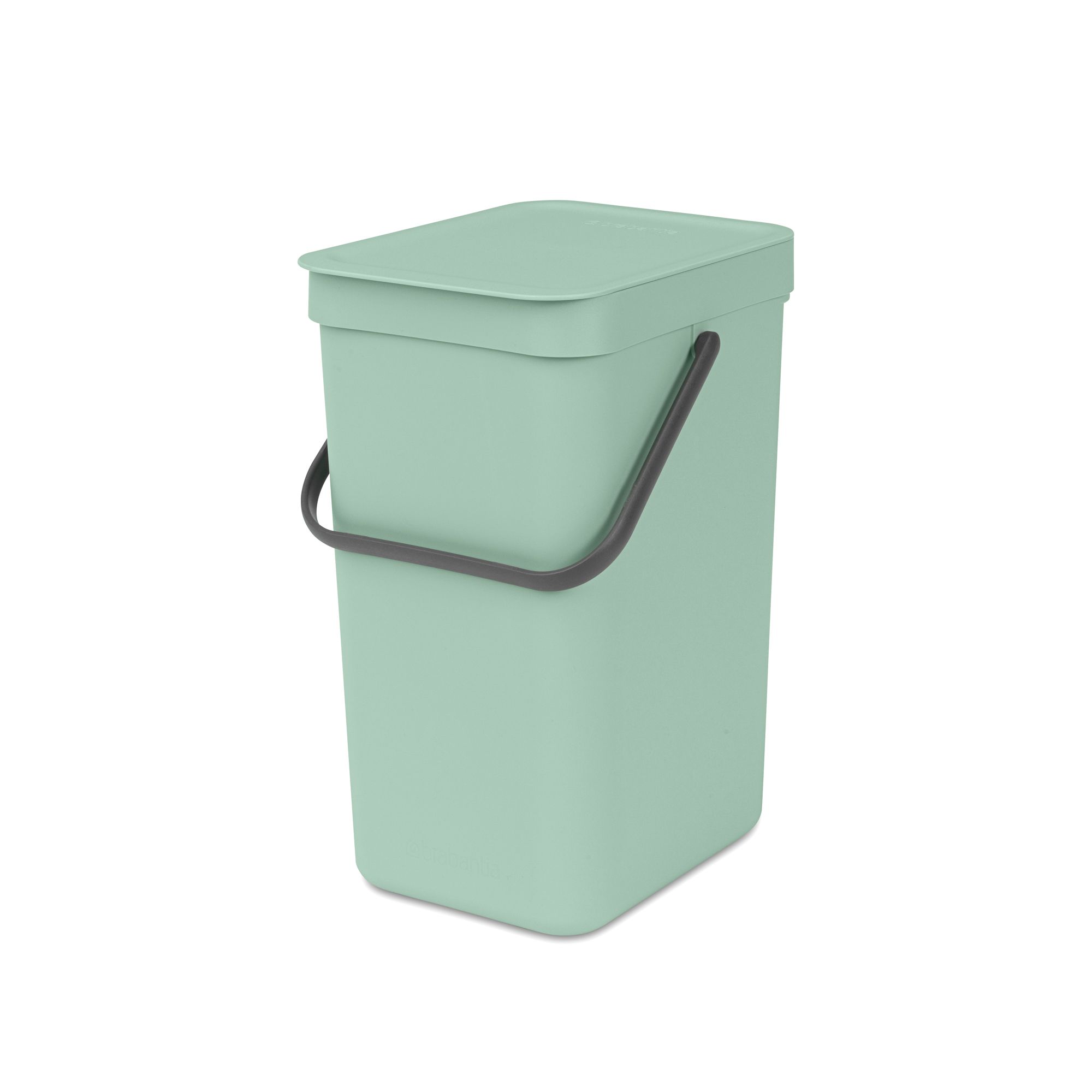 Brabantia Sort & Go Hinged Standard Jade green Plastic Bin - 12L Freestanding