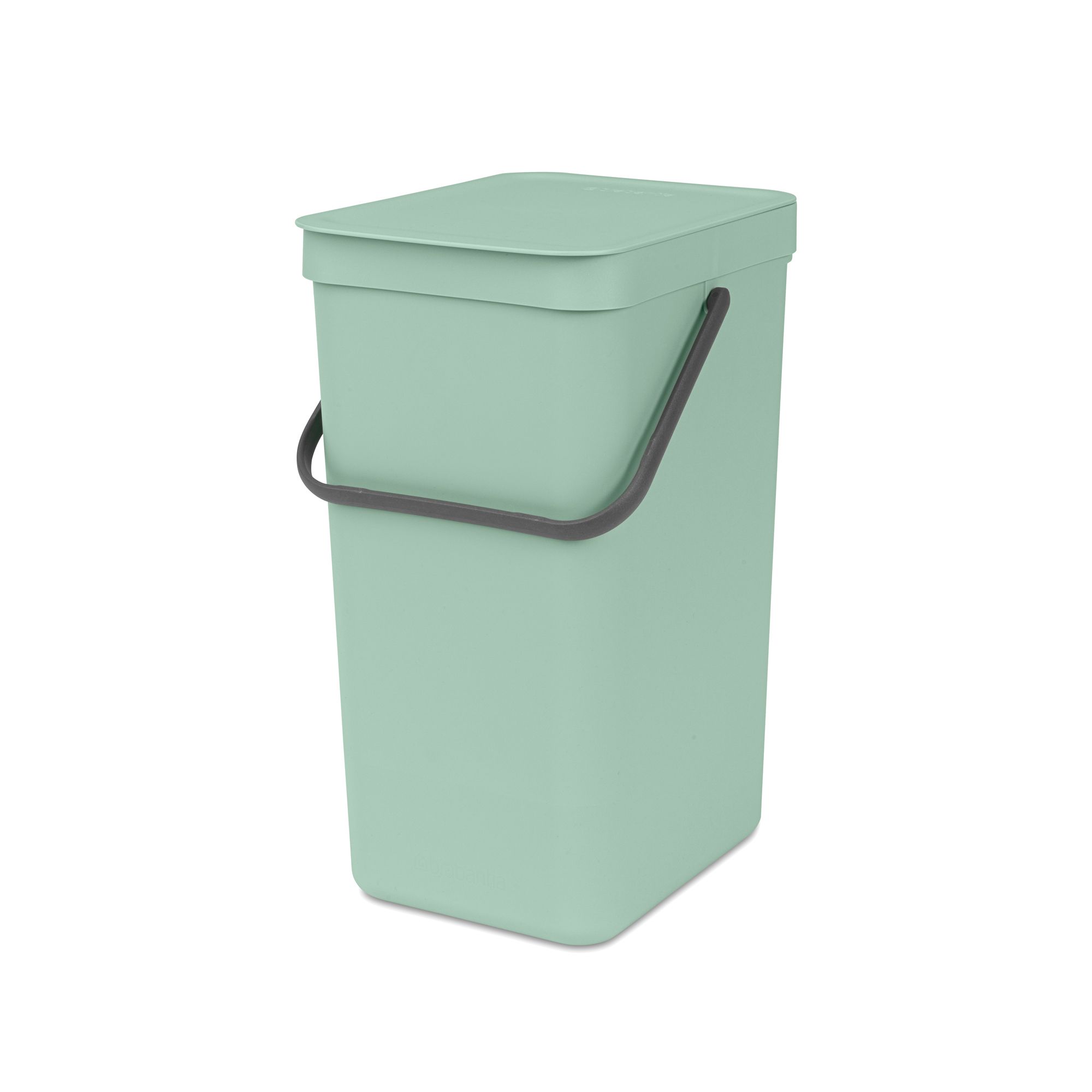 Brabantia Sort & Go Hinged Standard Jade green Plastic Bin - 16L Freestanding