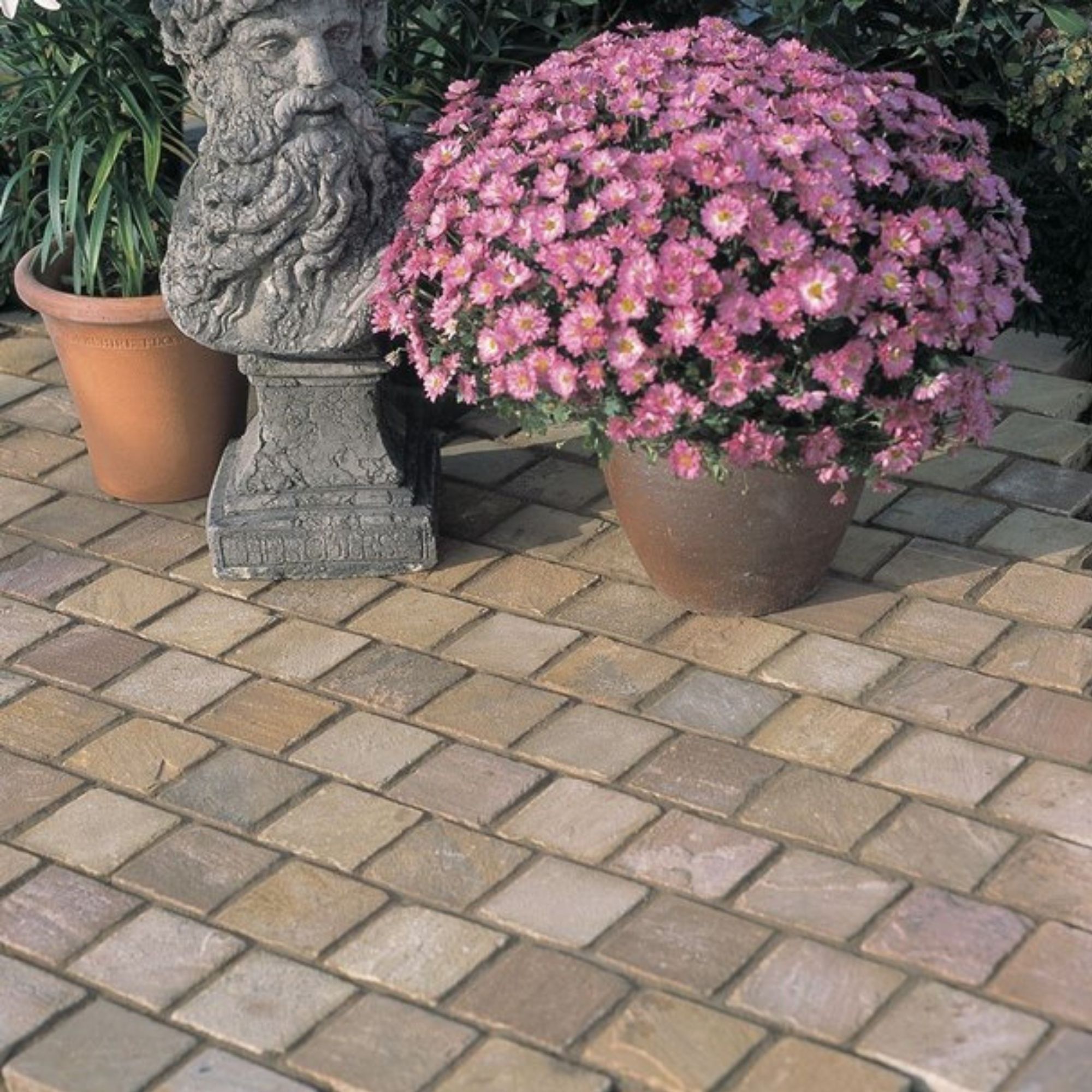 Bradstone Natural sandstone Fossil buff Sandstone Sett (L)100mm (W)100mm