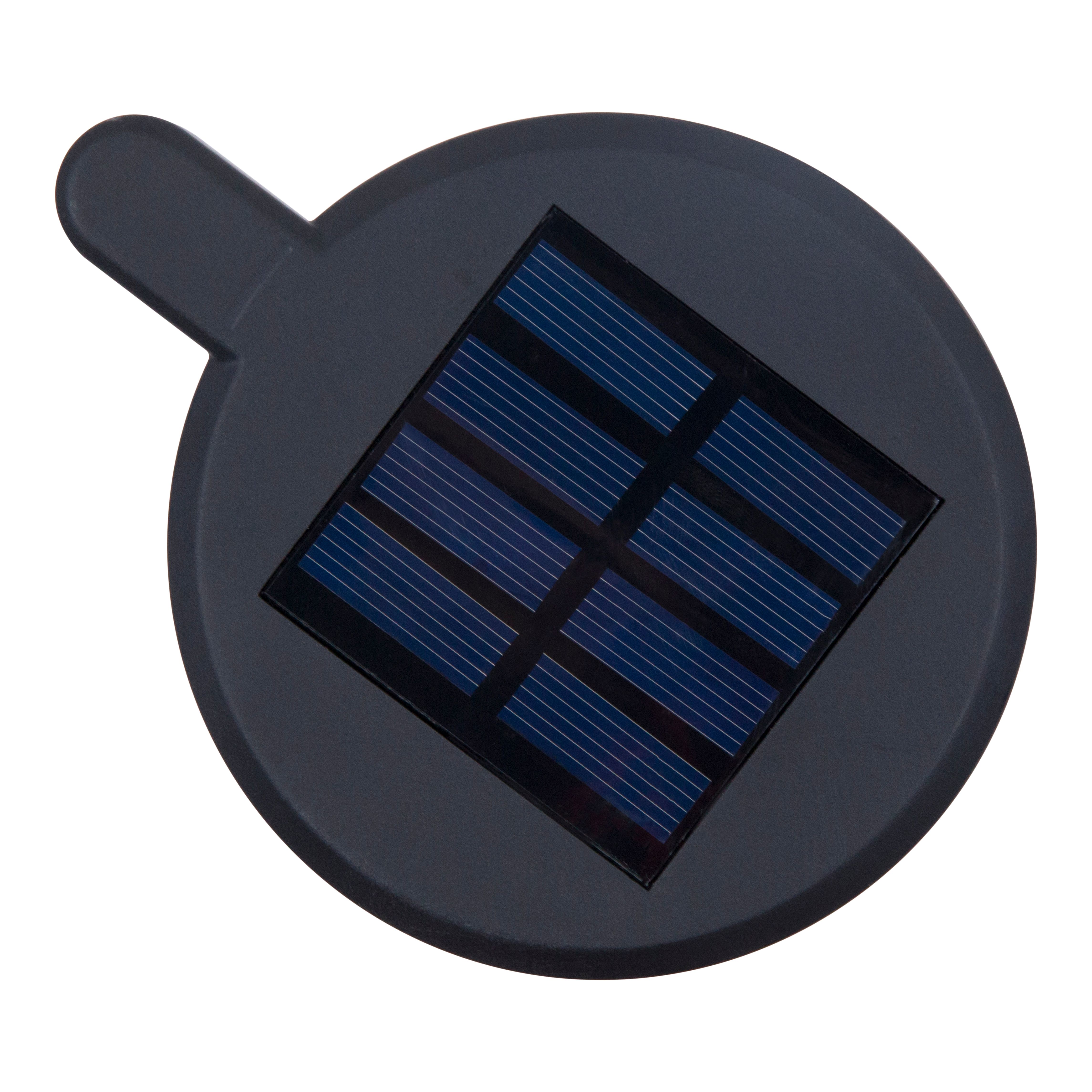 Brith Polished Black Solar-powered Integrated LED Outdoor Stake light