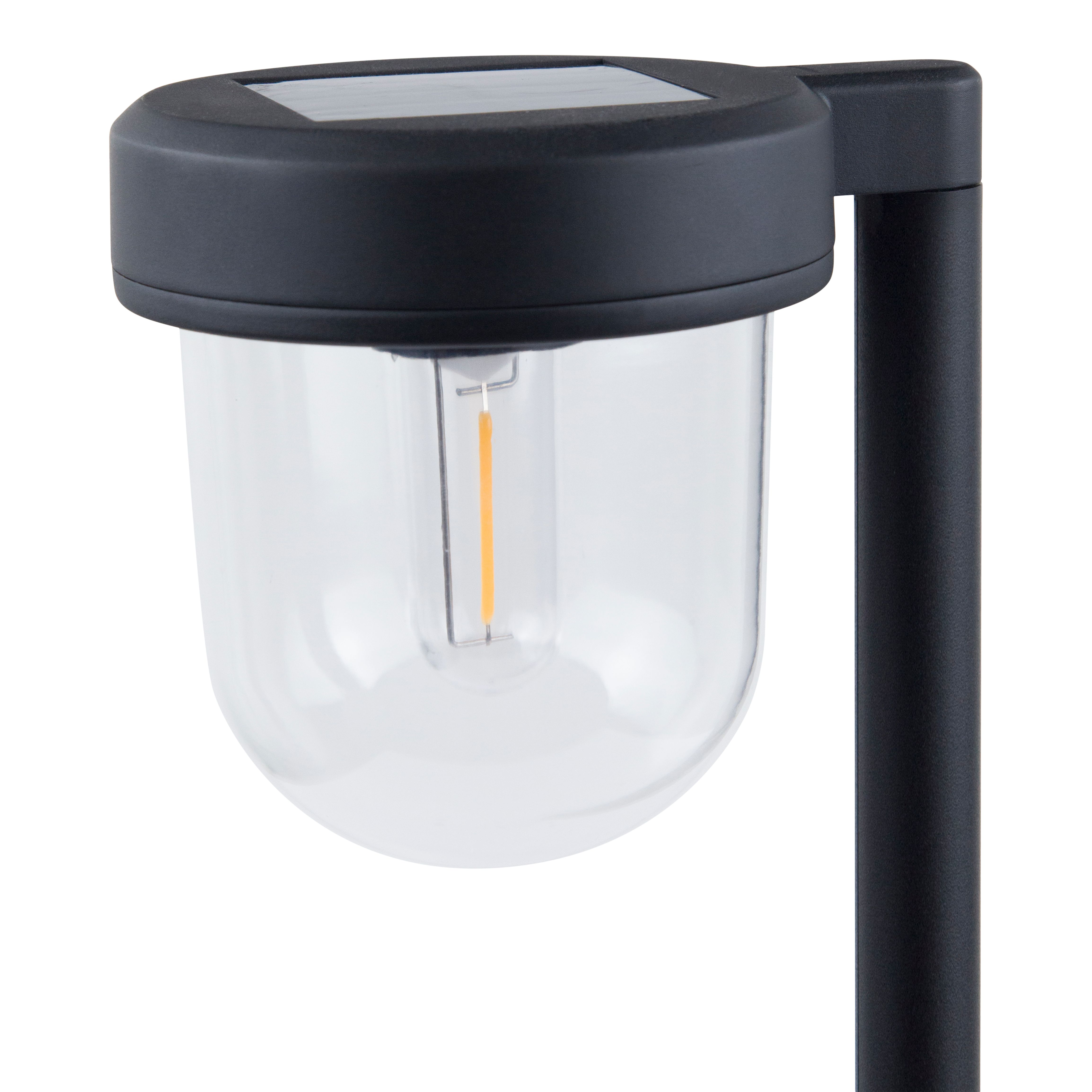 Brith Polished Black Solar-powered Integrated LED Outdoor Stake light