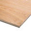 Brown Hardwood Plywood (L)2.44m (W)1220mm (T)9mm