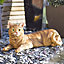 Brown, orange & white Resin Sitting cat Garden ornament (H)18cm