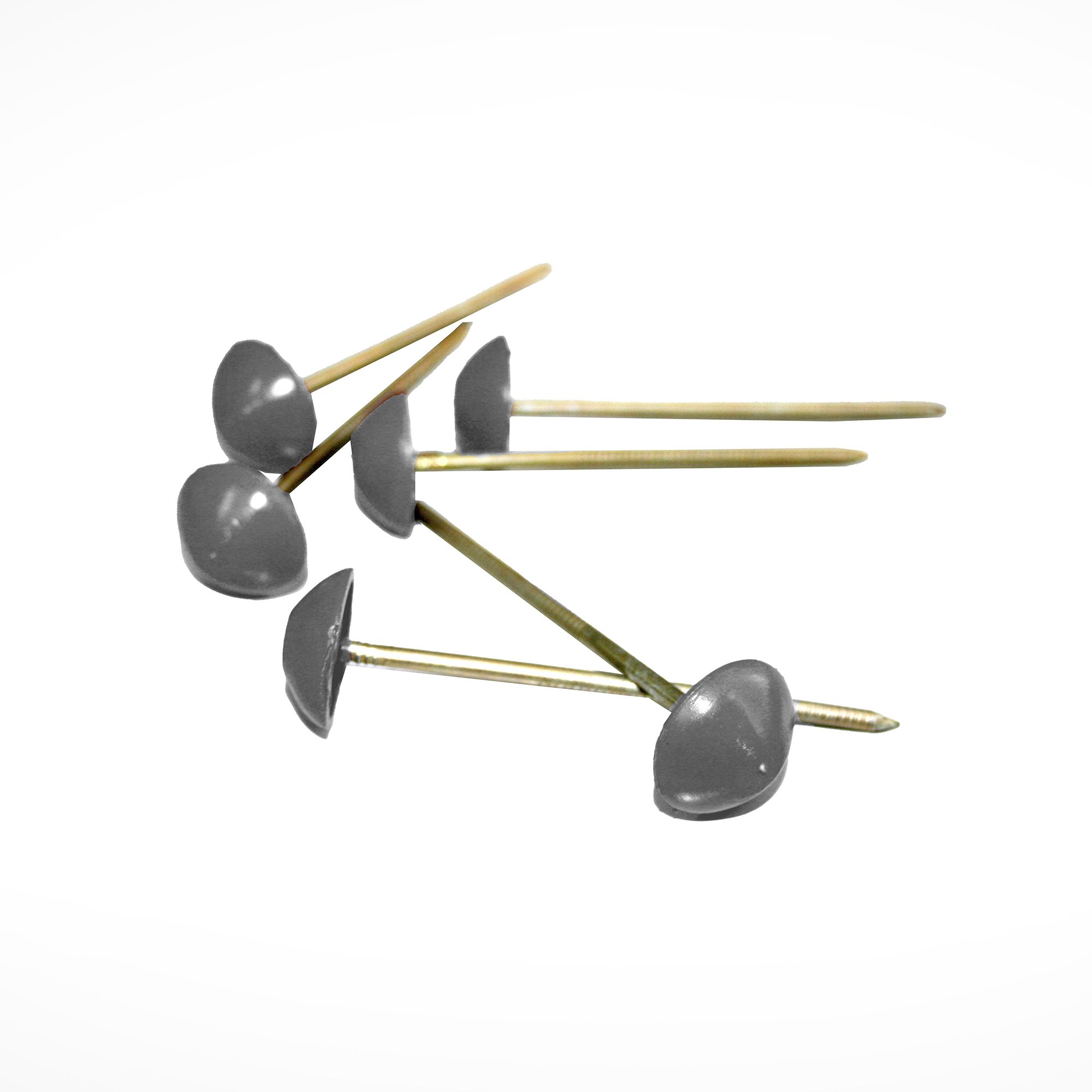 BTM Dome head nail (L)80mm (Dia)21mm, Pack of 100