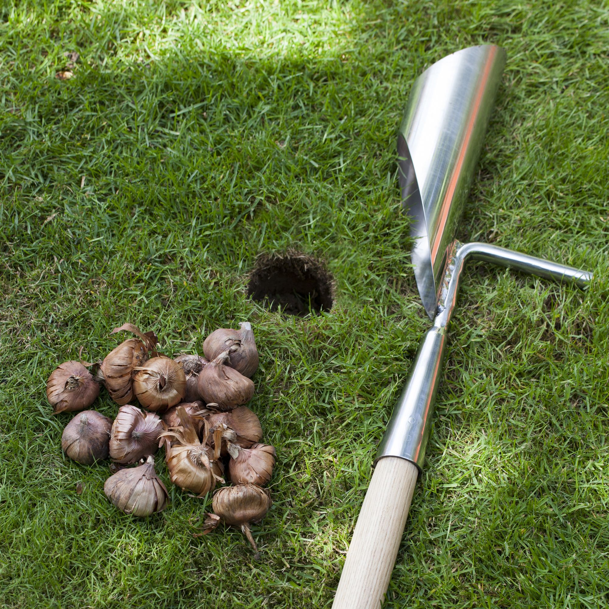 Burgon & Ball Long handle Bulb planter