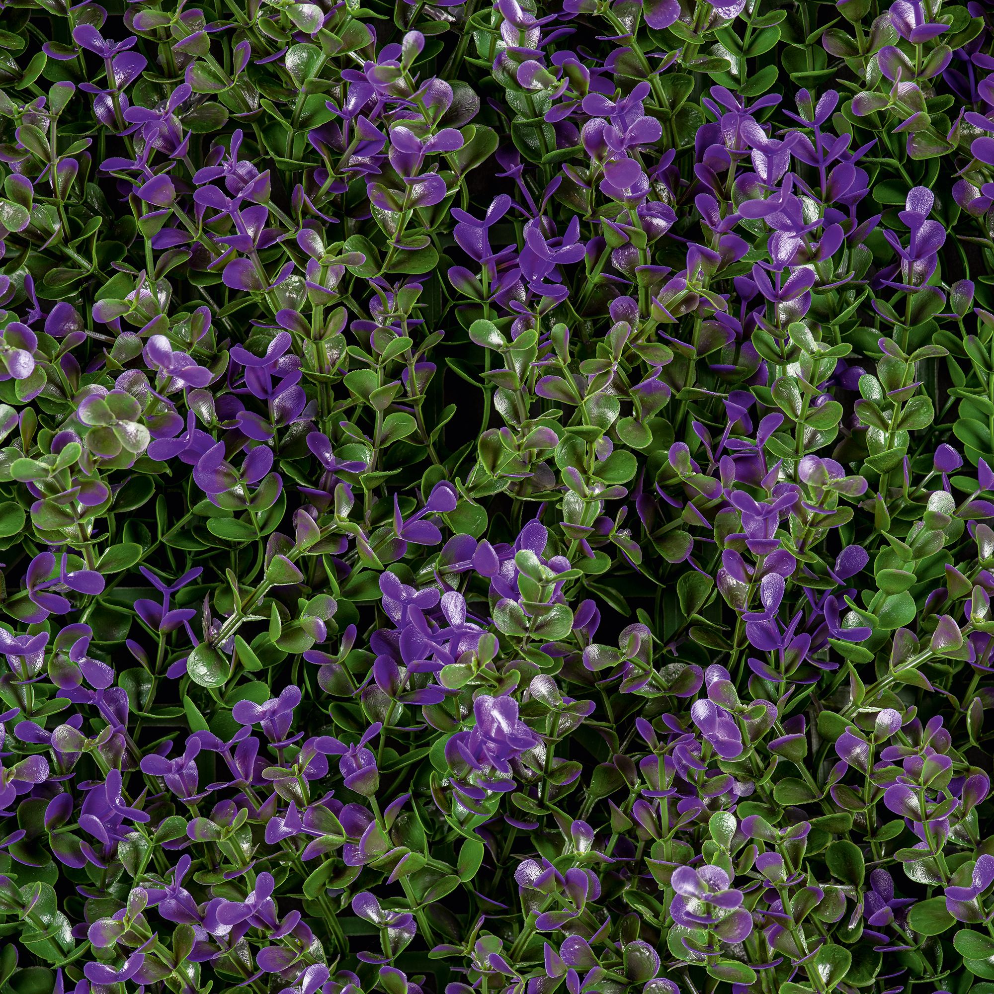 Buxus Square Artificial plant wall, (H)1m (W)1m