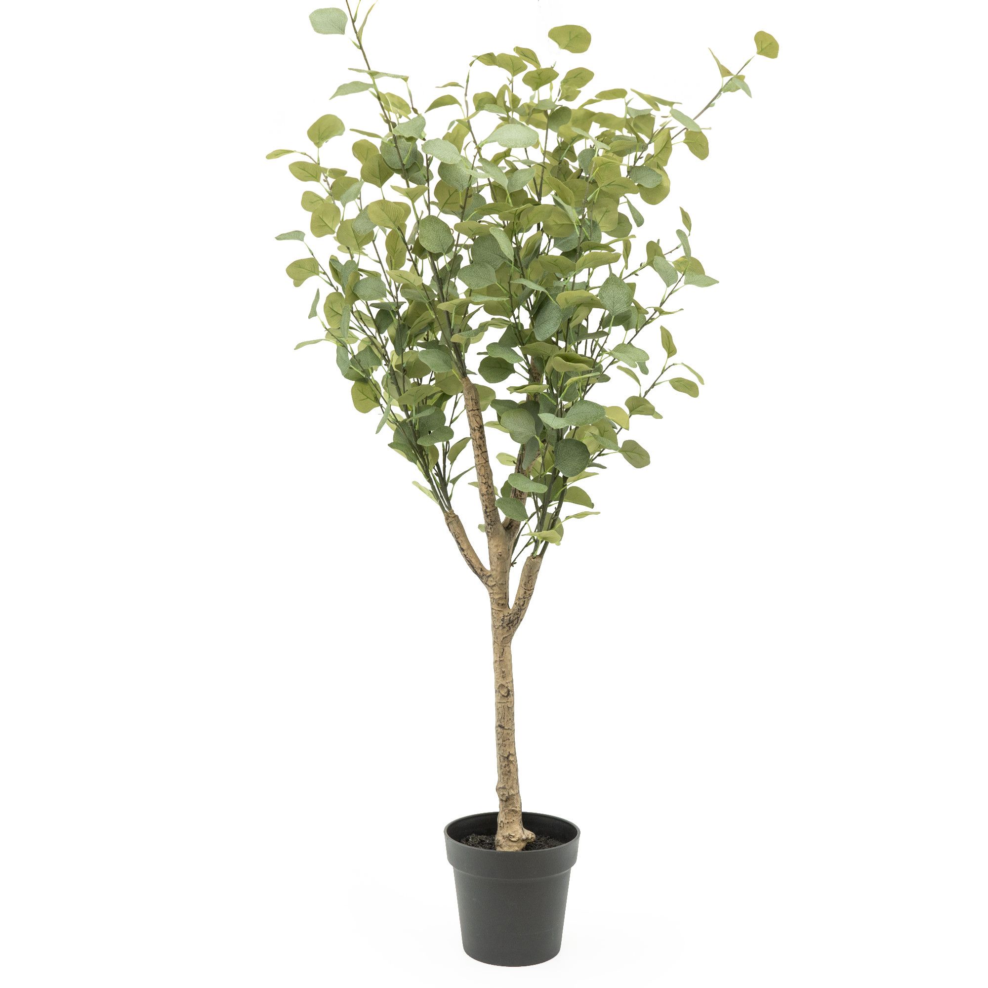 Candlelight Green 160cm Eucalyptus Tree Artificial plant in Black Australian Plastic Pot