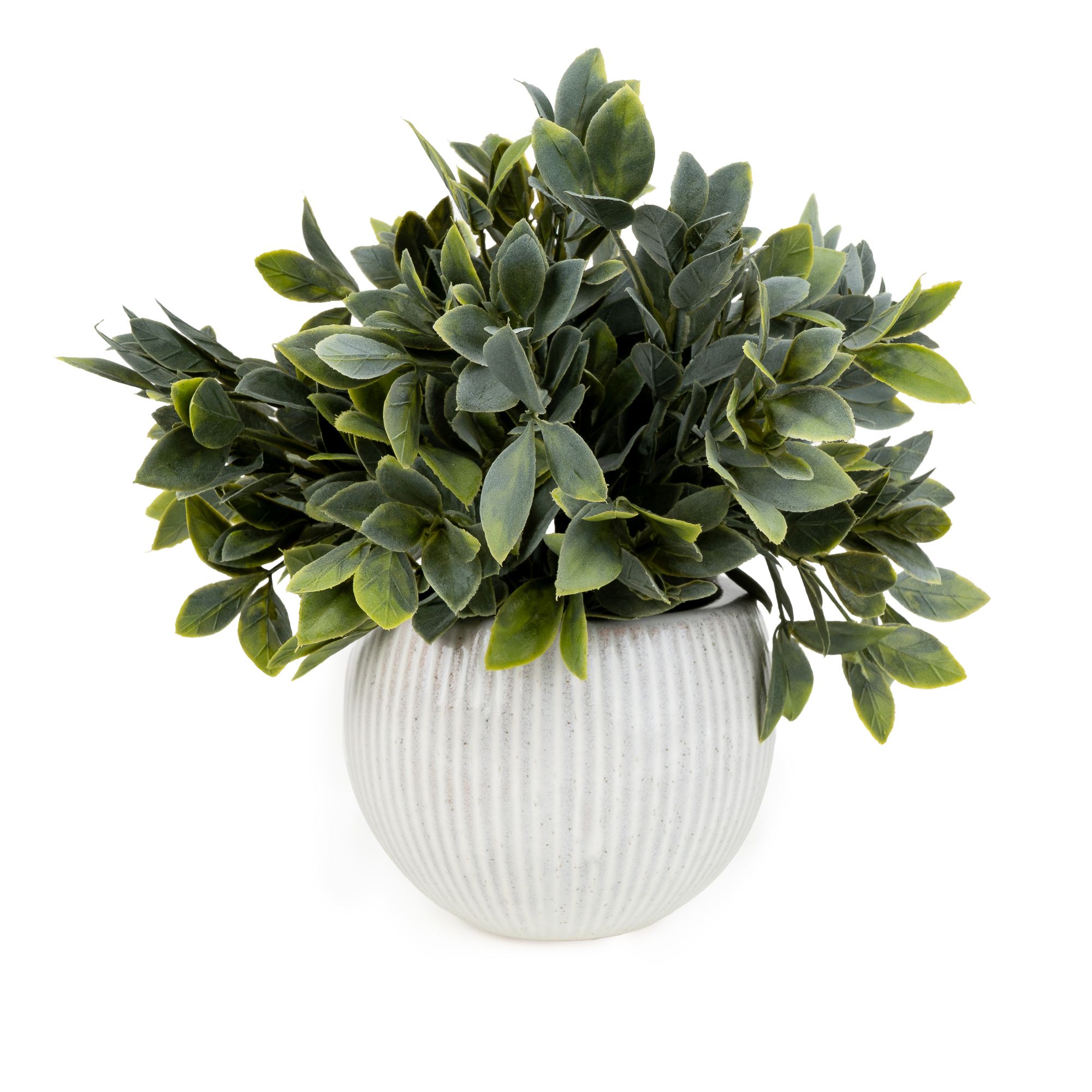 Candlelight Green & Cream 26cm Fern Pot with artificial fern in Cream Ribbed Ceramic Pot