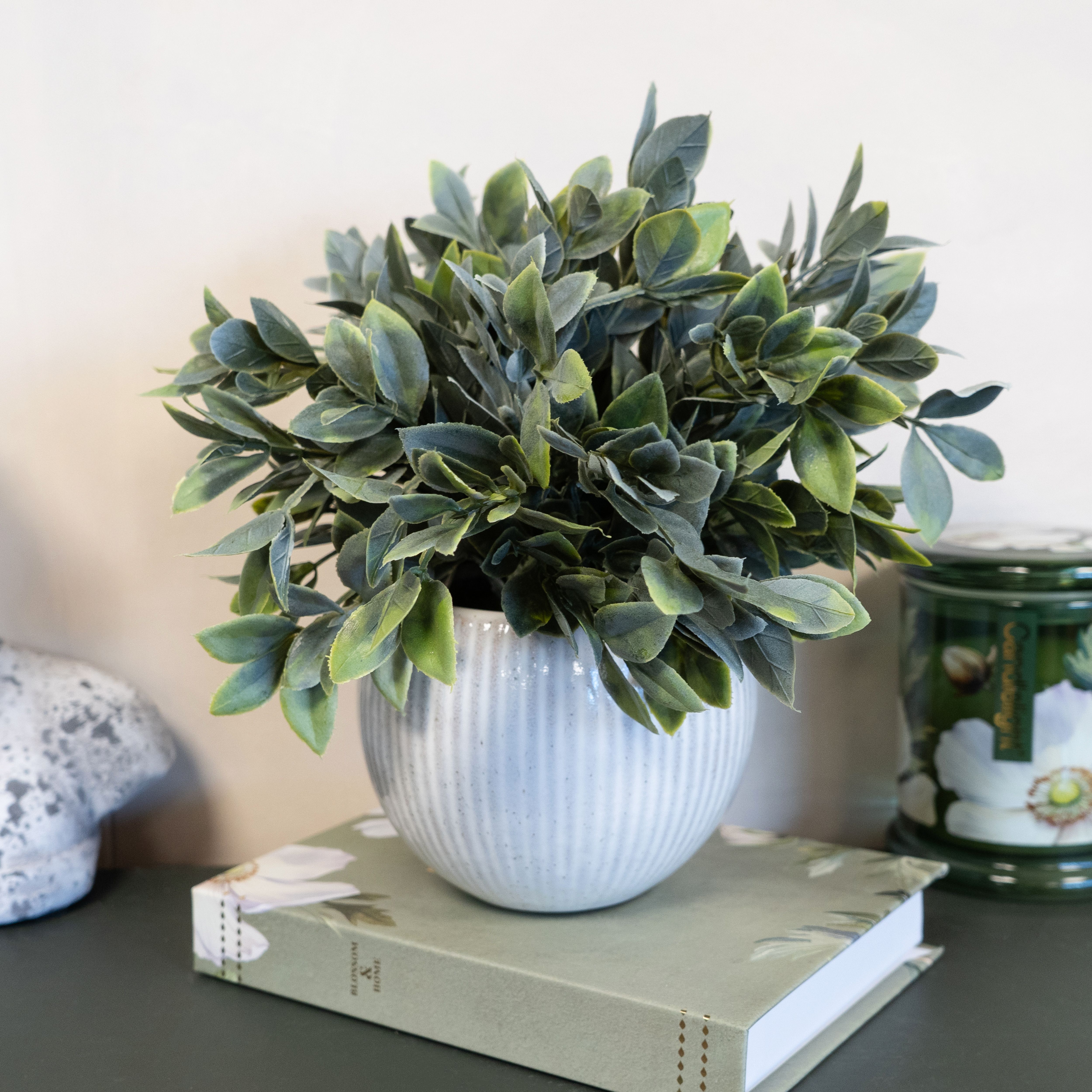 Candlelight Green & Cream 26cm Fern Pot with artificial fern in Cream Ribbed Ceramic Pot