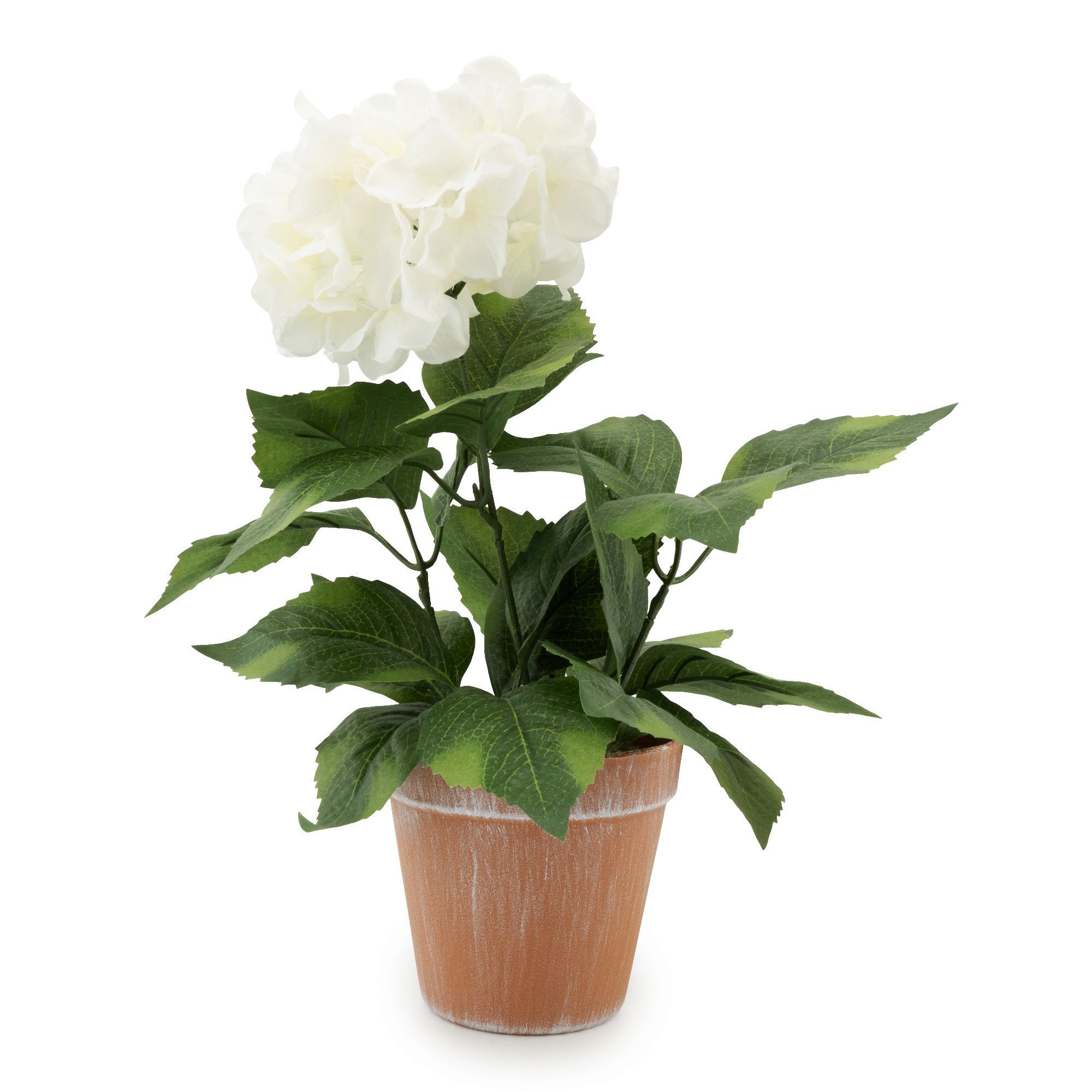 Candlelight White 35cm Hydrangea Artificial plant in Red Terracotta Pot
