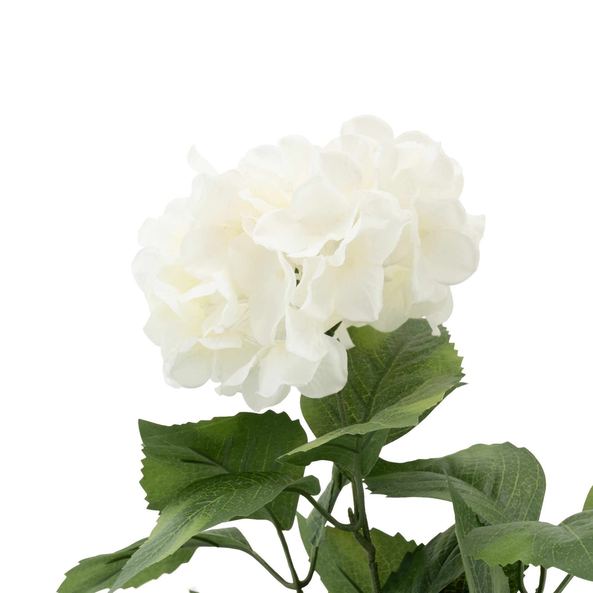 Candlelight White 35cm Hydrangea Artificial plant in Red Terracotta Pot