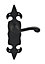 Carlisle Brass Fleur de lys Black Latch Door handle (L)100mm