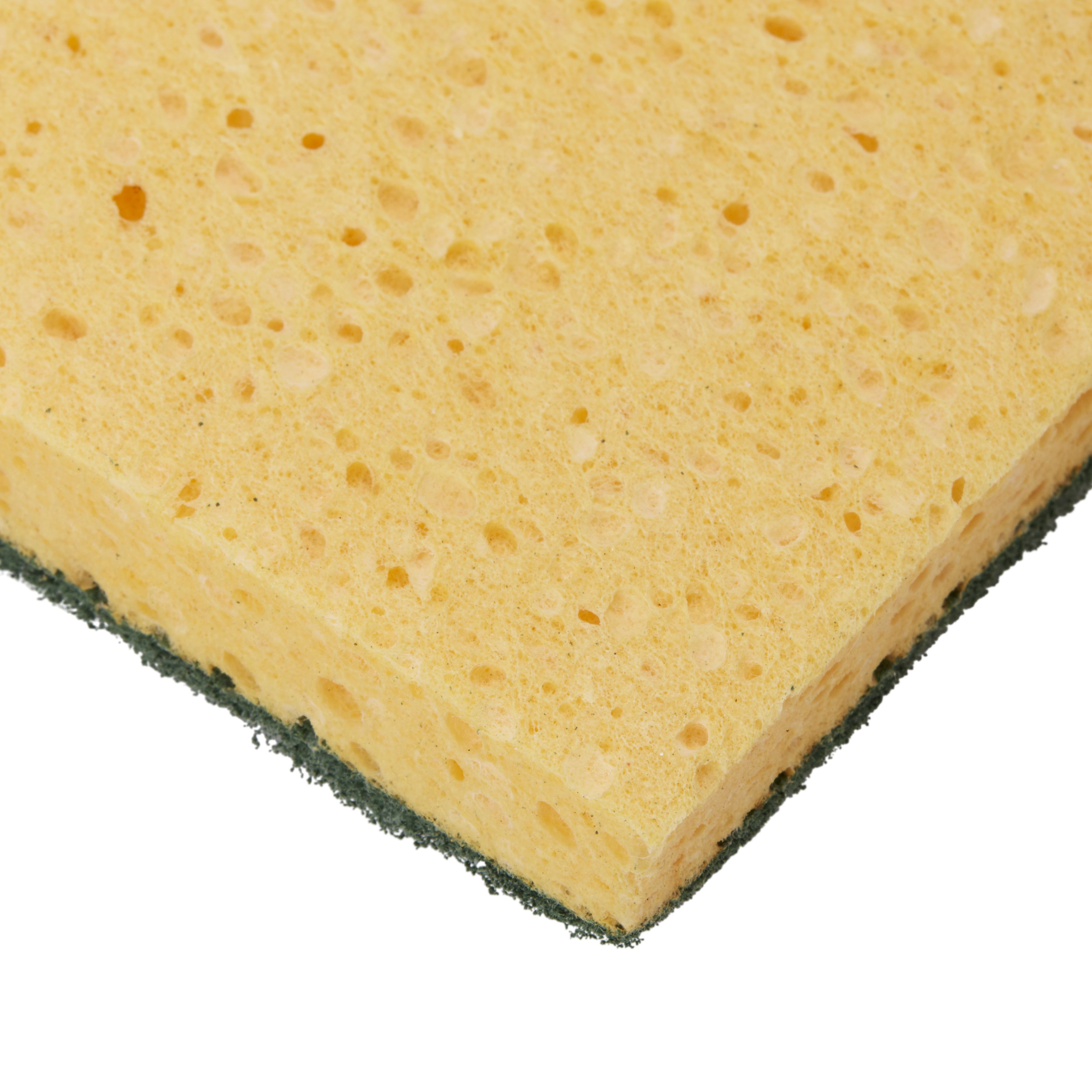 Cellulose & synthetic Sponge scourer, Pack of 10