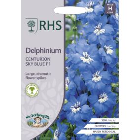 Centurion Sky Blue F1 Delphinium Seed
