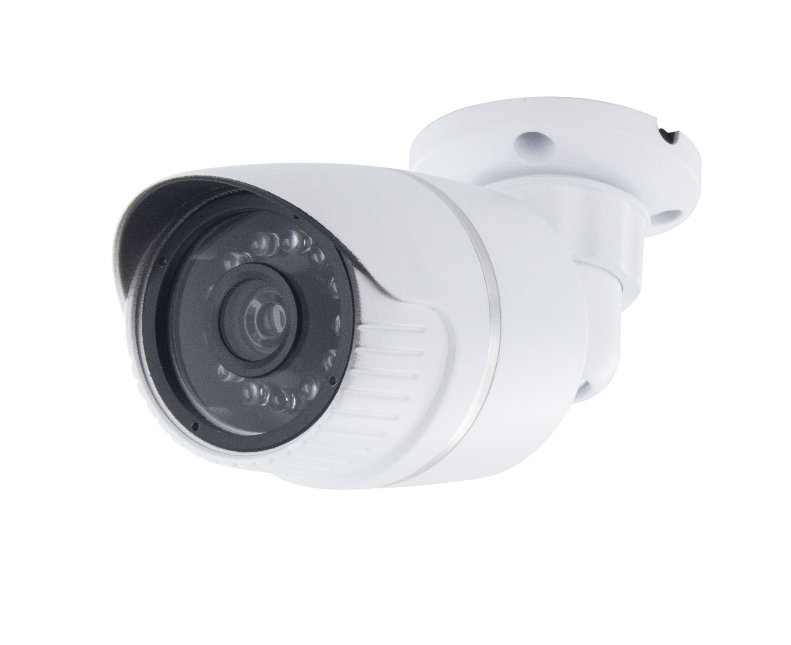 Dummy best sale surveillance cameras