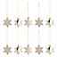 Champagne Pearlescent effect Star Decoration, Pack of 10