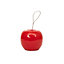 CJ Wildlife Ceramic Feeder bird mixes Red Apple Bird feeder 0.5L